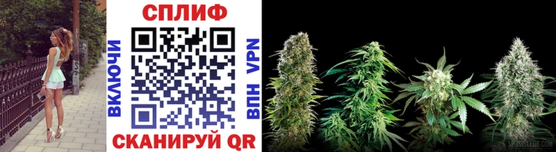 Купить закладки  Новопавловск  МАРИХУАНА SATIVA & INDICA 